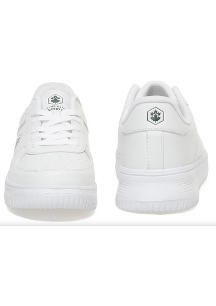 3W Fınster 3pr indirimleri