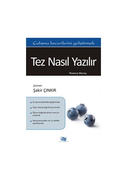 Tez Nasıl Yazılır - Rowena Murray