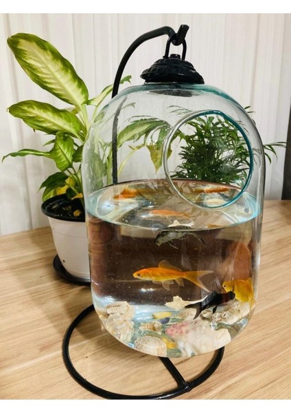 Ferforjeli Akvaryum Askılı Fanus Teraryum fiyatları