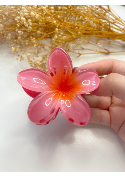 Lotus Toka Nar Çiçeği Pembe