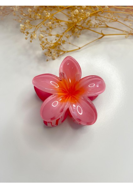 Lotus Toka Nar Çiçeği Pembe fiyatları