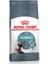 Hairball Care Yetişkin Kedi Maması 2 kg 1
