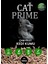 Kedi Kumu %100 Organik Çam Peleti 6 mm 20 lt 10 kg 1