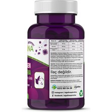 Algolina Collagen + Spirulina Tablet Takviye Edici Gıda - 1260 mg 60 Tablet - (Kolajen Tip 1 2 3)