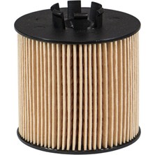 Filtron Vw Passat B6 1.4 Tsı Cax Yağ Filtresi 2008-2009 Filtron