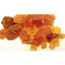 Medeniyet Baharat Arap Zamkı (Akasya Sakızı)  Arabic Gum  Zamkı Arabi  Akasya Gamı 100 gr