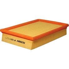 Filtron Peugeot 307 1.6 Hava Filtresi 2001-2009 Filtron