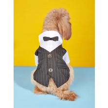 Dolce Pets Kedi Köpek Kıyafeti  Köpek Takım Elbise Lacivert