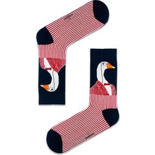 Carnaval Socks Leylek Desenli Renkli Çorap