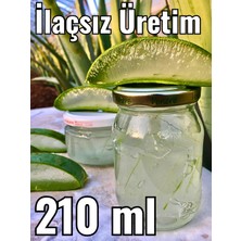 aloe vera jel, doğal alovera jel, 210 ml cam kavanozda, aloe vera fidan hediyeli