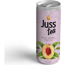 Juss Jusstea Şeftali Aromalı Soğuk Çay 250ML X24 Adet