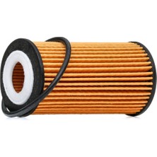 Bosch Focus 4 1.5 Ecoblue Yağ Filtresi Bosch Otomatik Vites 2018-2022