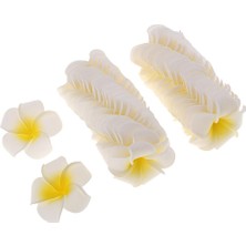 Sunnimix 50PCSÜK Frangipani Plumeria Yaprakları Diy 4cm (Yurt Dışından)