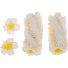 Sunnimix 50PCSÜK Frangipani Plumeria Yaprakları Diy 4cm (Yurt Dışından)