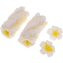 Sunnimix 50PCSÜK Frangipani Plumeria Yaprakları Diy 4cm (Yurt Dışından)