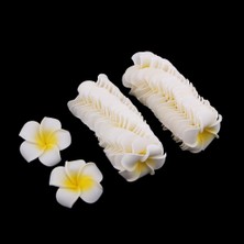 Sunnimix 50PCSÜK Frangipani Plumeria Yaprakları Diy 6cm (Yurt Dışından)