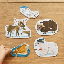 Moritoys A Day In Arctic: 6 In 1 Puzzle(2-3-4-6-8-33 Parça Yapboz) ile Kuzey Kutbunu Keşfet