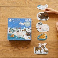 Moritoys A Day In Arctic: 6 In 1 Puzzle(2-3-4-6-8-33 Parça Yapboz) ile Kuzey Kutbunu Keşfet