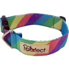 Petsfect Rainbow Köpek Boyun Tasması