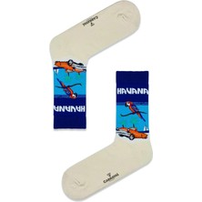 Carnaval Socks Havana Tasarımlı Renkli Çorap