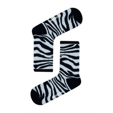 Carnaval Socks Zebra Milk Desenli Renkli Spor Çorap