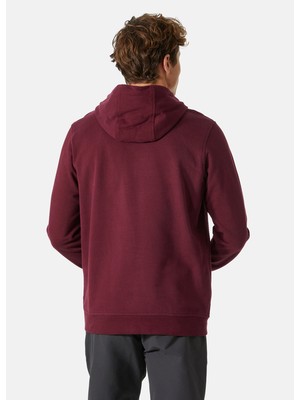 Helly Hansen Logo Hoodıe Kapişonlu