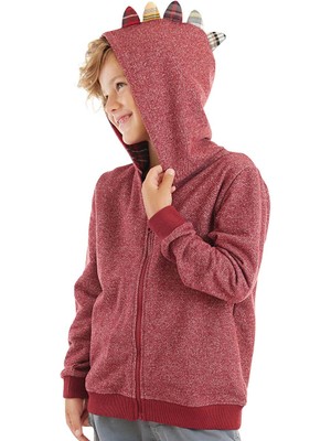 Denokids Ejderha Erkek Çocuk Kapişonlu Sweatshirt