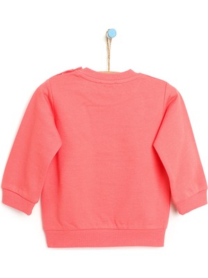 Hello Baby Hellobaby Basic Kalpli Ayıcık Desenli Sweatshirt Kız Bebek