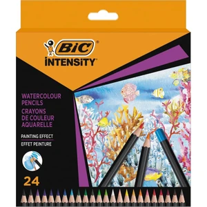 Intensity Aquacouleur Kuru Sulu Boya Kalemi 24 Renk