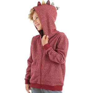 Ejderha Erkek Çocuk Kapişonlu Sweatshirt