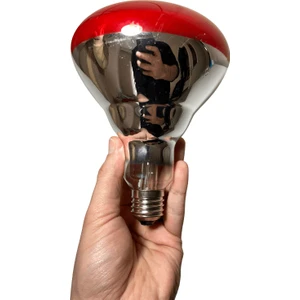 Ledvance 250W Infrared Ampul BR40 E27 Isıtıcılı Lamba Kırmızı Işık (8 Adet)