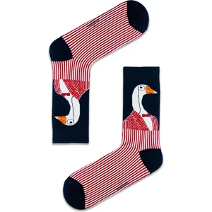 Carnaval Socks Leylek Desenli Renkli Çorap