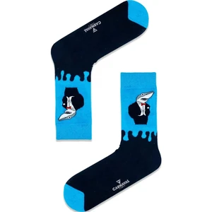Carnaval Socks Jaws Man Desenli Renkli Spor Çorap