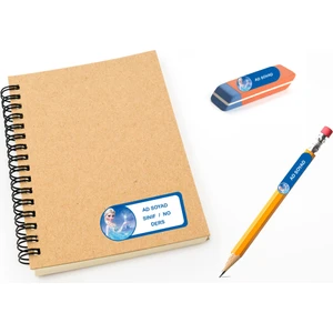 Kutu Ambalaj Okul Etiketi Defter, Kalem Sticker Elsa Frozen 112 Adet