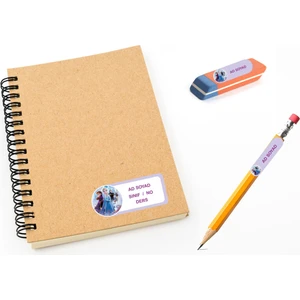 Kutu Ambalaj Okul Etiketi Defter, Kalem Sticker Elsa Frozen 112 Adet