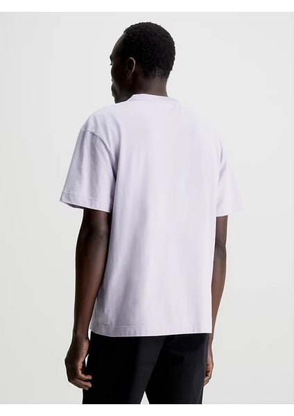 Calvın Kleın Erkek T-Shırt K10K110669-VEY fiyatları