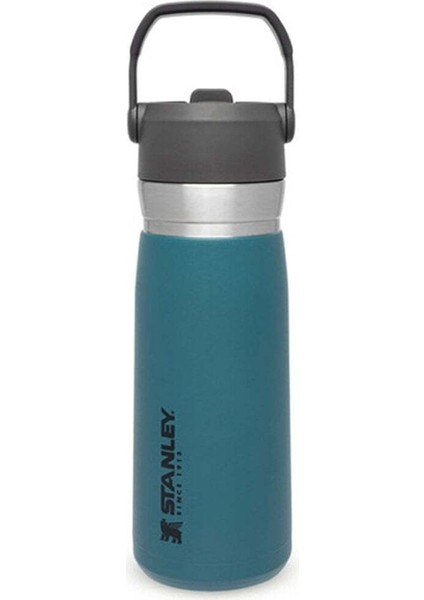 Go Iceflow Pipetli Paslanmaz Çelik Soğuk Su Termosu 0.65 Lt Petrol
