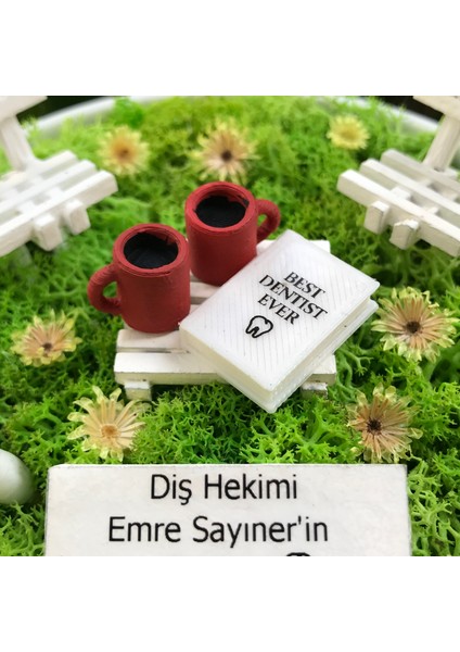 Kişiye Özel Diş Hekimi Hediyesi Teraryum - Güneşli Bahçeler Serisi