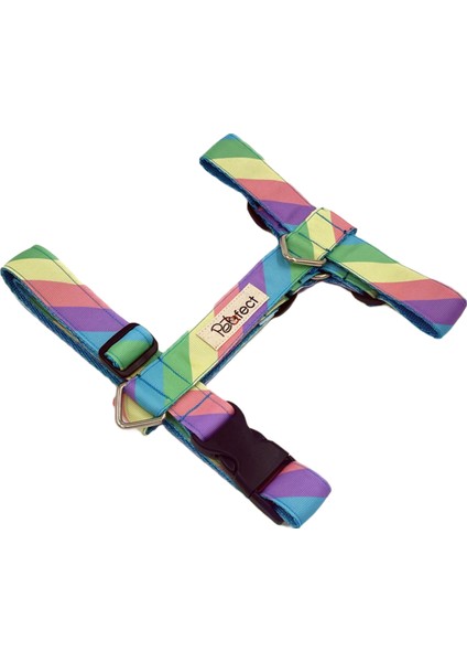 Rainbow H Tipi Köpek Tasması