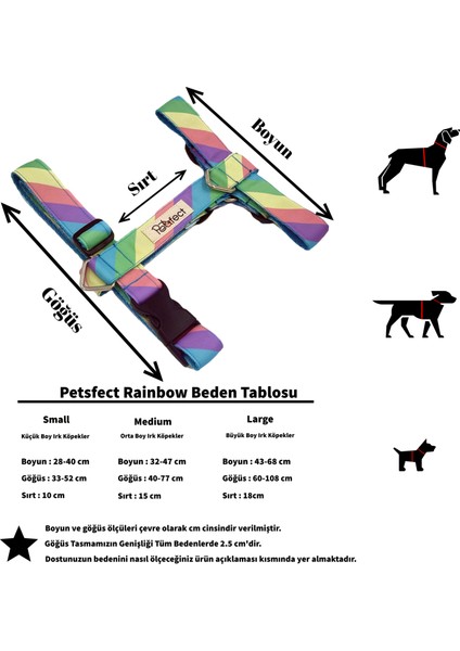 Rainbow H Tipi Köpek Tasması