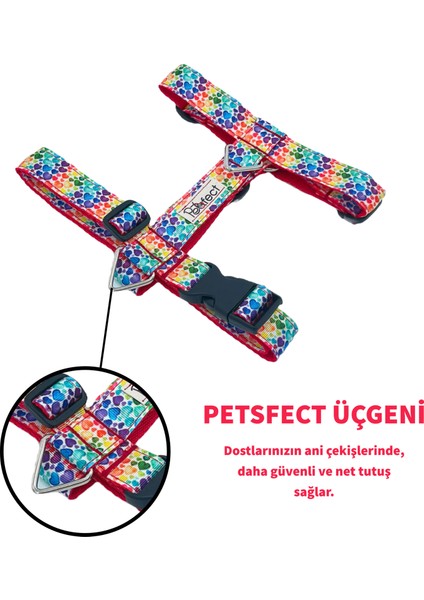 Heartbeat H Tipi Köpek Göğüs Tasması