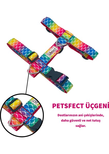 Princess H Tipi Köpek Göğüs Tasması