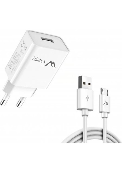 WPY-065 Akım Korumalı Hızlı Şarj Adaptörü 4.1 A 22 W Micro USB