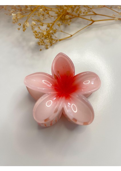 Lotus Toka Içi Kırmızı