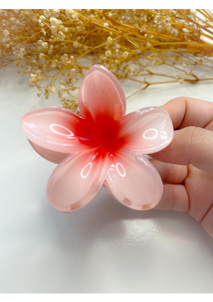 Lotus Toka Içi Kırmızı fiyatları