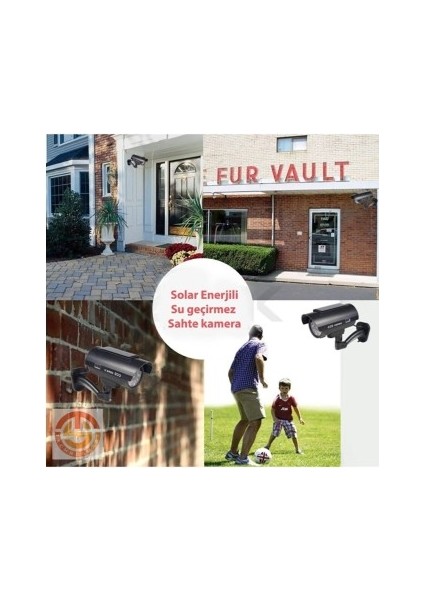 Avokado Kedi Nanesi Cat Mint Oyun Topu fiyatları