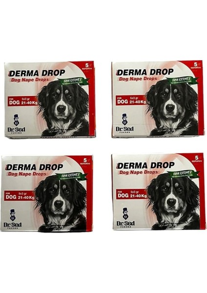 Maxi Derma 21-40KG Köpek Ensedamlası 4 Kutu