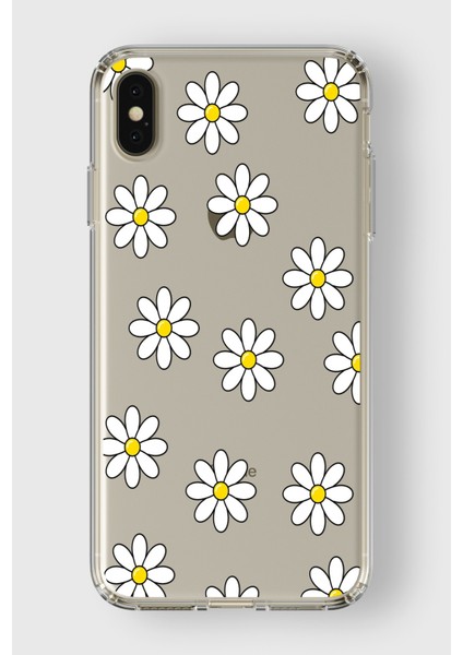 Apple iPhone x / Xs Uyumlu Papatyalar Tasarımlı Şeffaf Kılıf