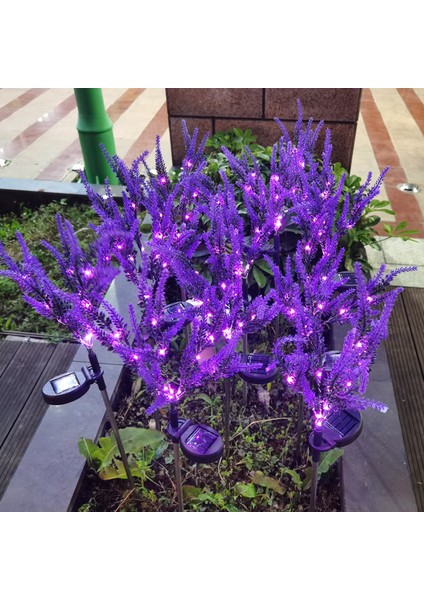 LED Güneş Lavanta Lambası Açık Simülasyon Noel Çim Lambası Kare Çim Zemin Ekleme Manzara Simülasyon Çiçek Lambası (Yurt Dışından) modelleri