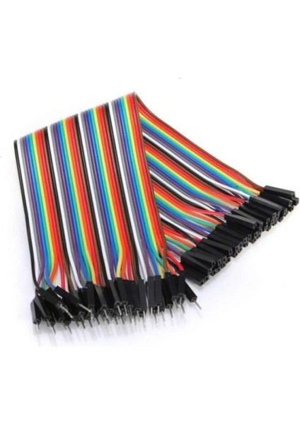 40 Pinli Dişi Erkek Jumper Kablo - 30 cm